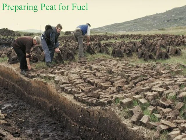 Preparing Peat for Fuel