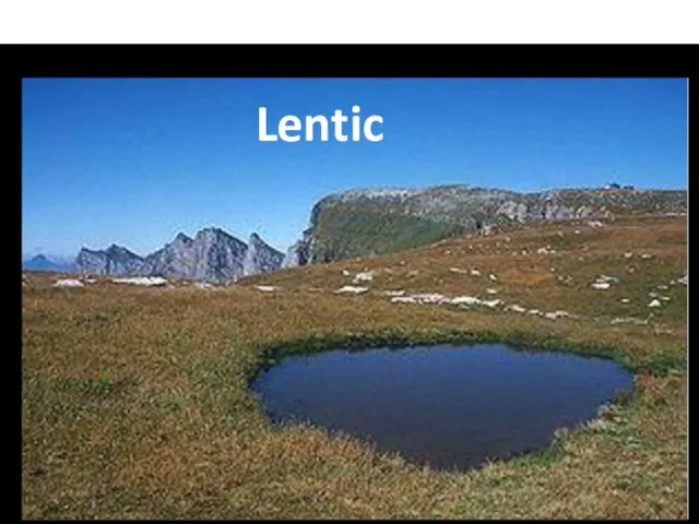 Lentic