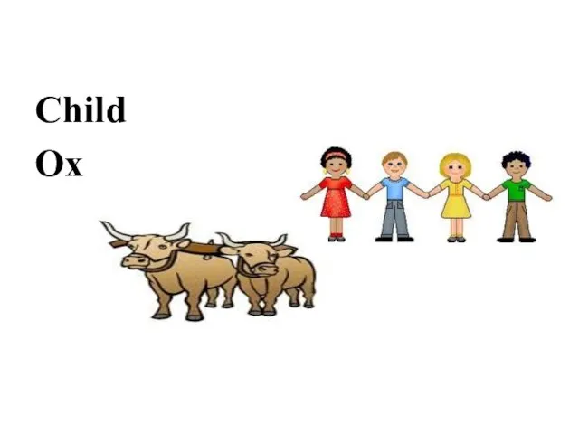 Child Ox