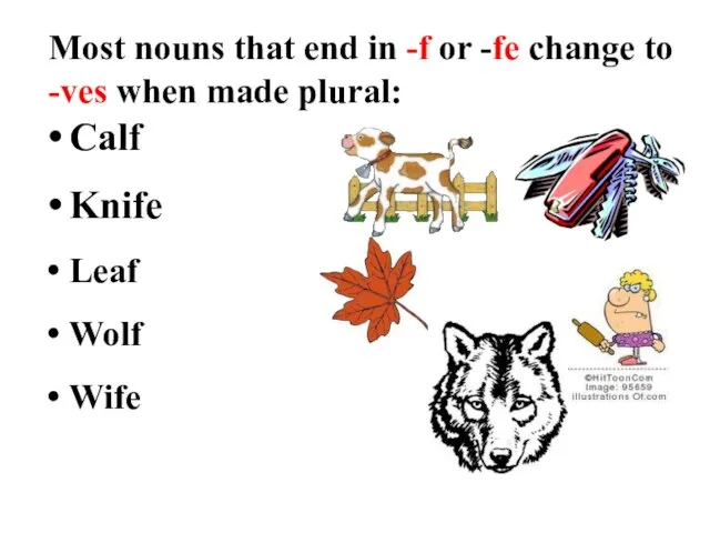 Most nouns that end in -f or -fe change to -ves when