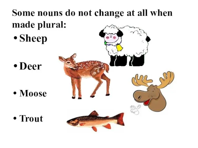 Some nouns do not change at all when made plural: Sheep Deer Moose Trout