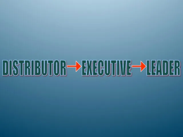 DISTRIBUTOR EXECUTIVE LEADER
