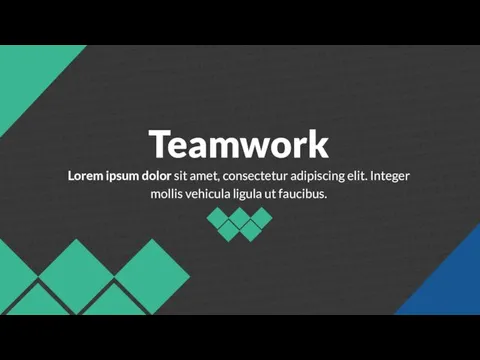 Teamwork Lorem ipsum dolor sit amet, consectetur adipiscing elit. Integer mollis vehicula ligula ut faucibus.