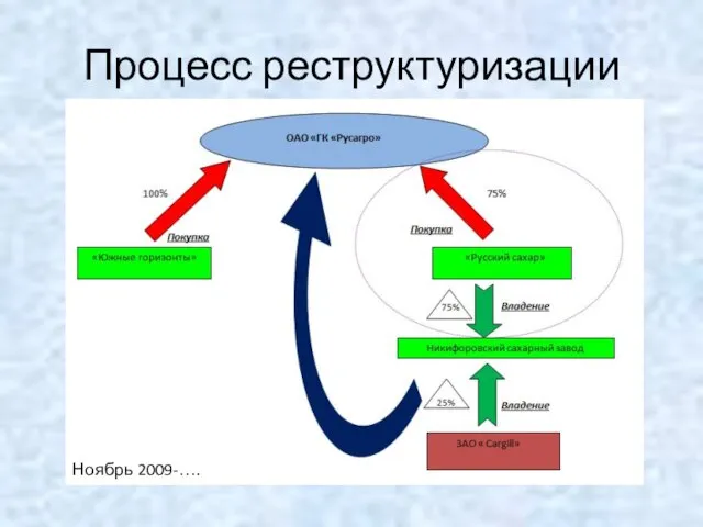 Процесс реструктуризации Ноябрь 2009-….