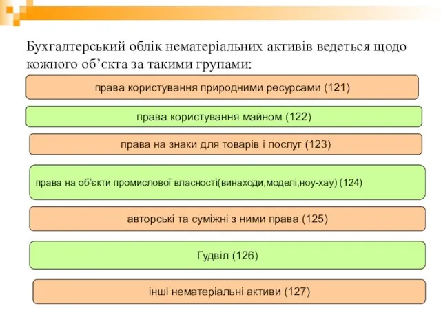 Бухгалтерський облік нематеріальних активів ведеться щодо кожного об’єкта за такими групами: права