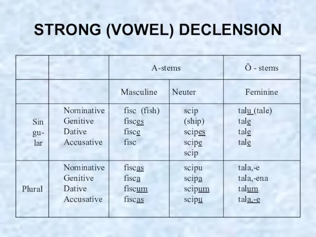 STRONG (VOWEL) DECLENSION