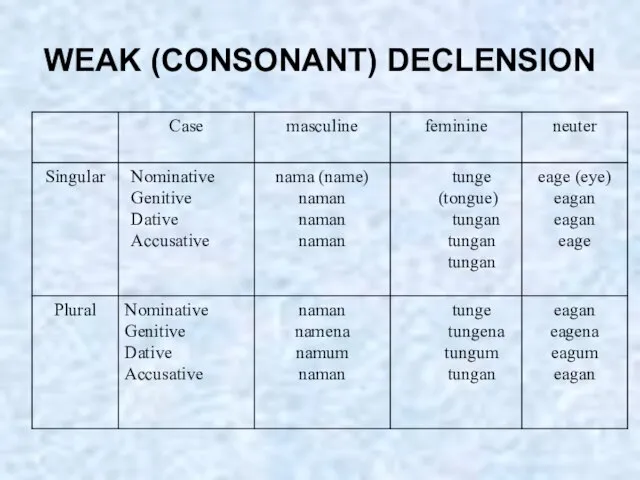 WEAK (CONSONANT) DECLENSION