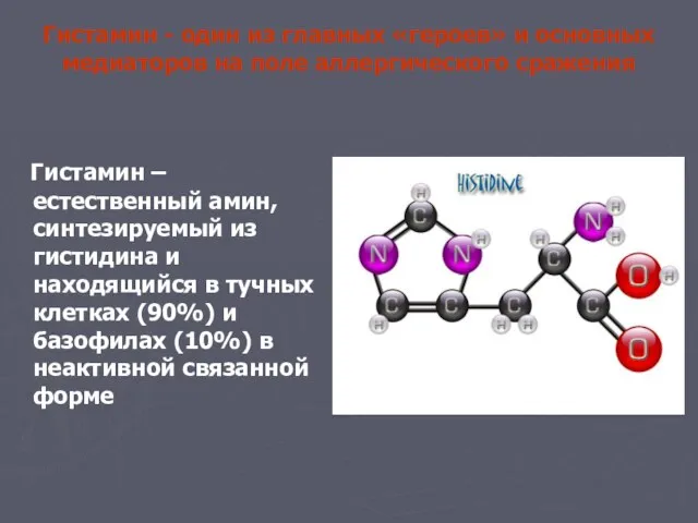Гистамин - один из главных «героев» и основных медиаторов на поле аллергического