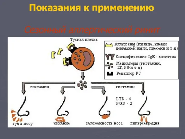 Показания к применению Сезонный аллергический ринит