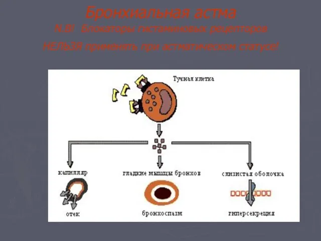 Бронхиальная астма N.B! Блокаторы гистаминовых рецепторов НЕЛЬЗЯ применять при астматическом статусе!