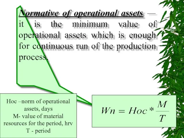 Normative of operational assets — it is the minimum value of operational