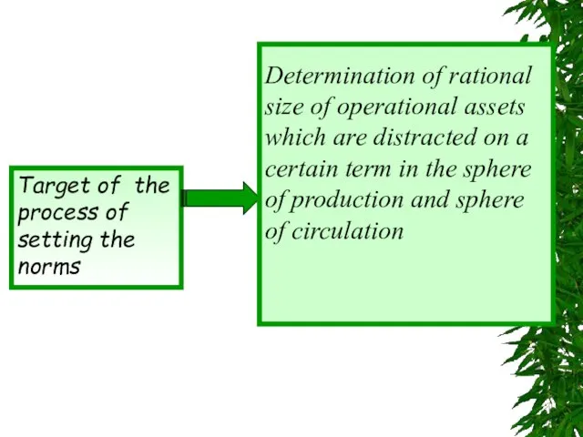 Target of the process of setting the norms Determination of rational size