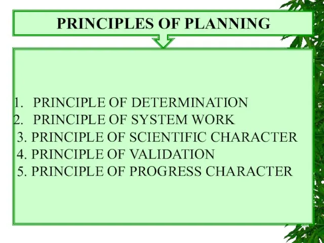 PRINCIPLES OF PLANNING PRINCIPLE OF DETERMINATION PRINCIPLE OF SYSTEM WORK 3. PRINCIPLE