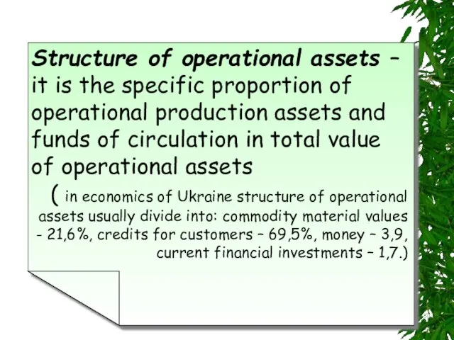 Structure of operational assets – it is the specific proportion of operational