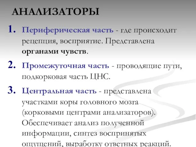 АНАЛИЗАТОРЫ Периферическая часть - где происходит рецепция, восприятие. Представлена органами чувств. Промежуточная