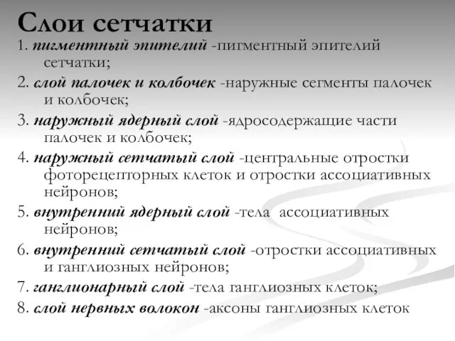 Слои сетчатки 1. пигментный эпителий -пигментный эпителий сетчатки; 2. слой палочек и