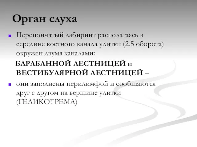 Орган слуха Перепончатый лабиринт располагаясь в середине костного канала улитки (2.5 оборота)