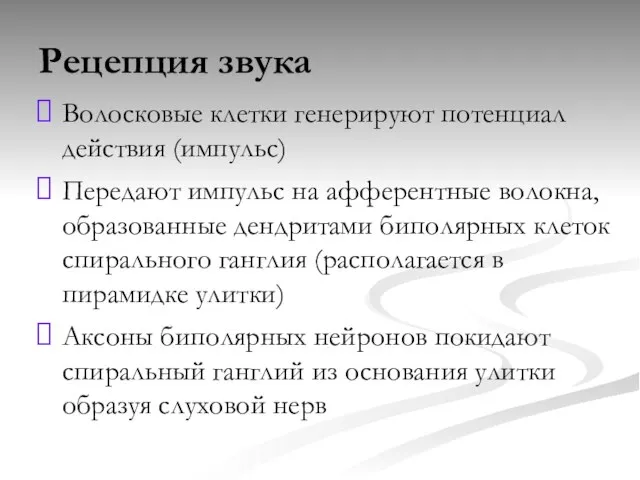 Рецепция звука Волосковые клетки генерируют потенциал действия (импульс) Передают импульс на афферентные