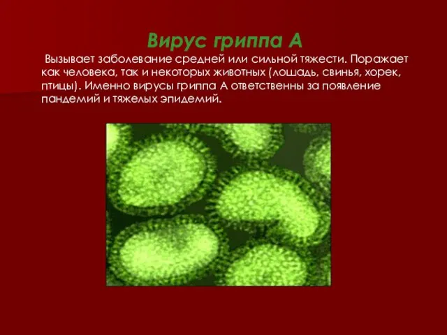 Вирус гриппа А Вызывает заболевание средней или сильной тяжести. Поражает как человека,