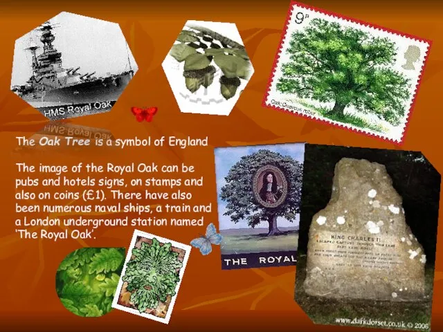 The Oak Tree is a symbol of England The image of the