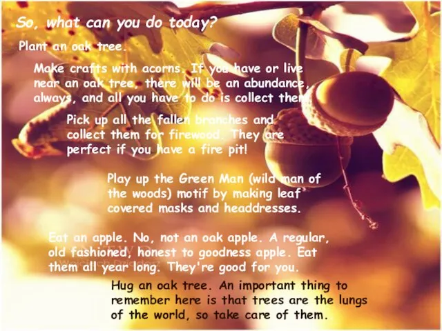 So, what can you do today? Plant an oak tree. Make crafts