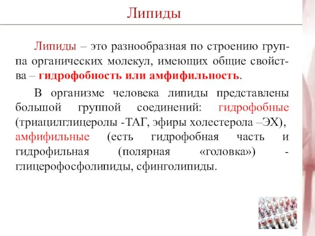 Липиды Липиды – это разнообразная по строению груп-па органических молекул, имеющих общие