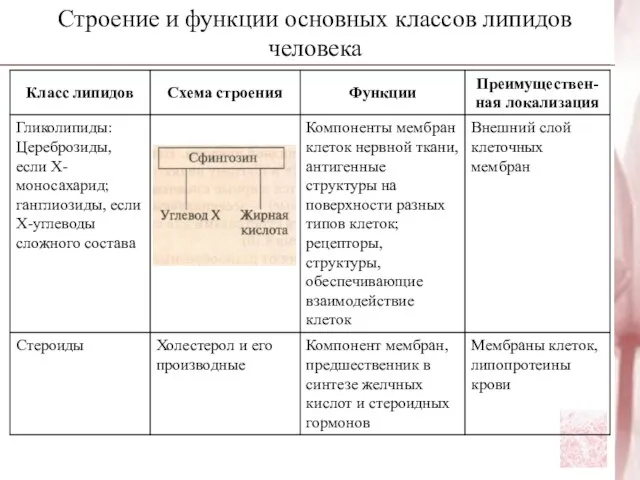 Строение и функции основных классов липидов человека