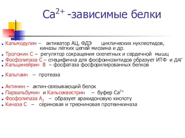 Са2+ -зависимые белки Кальмодулин – активатор АЦ, ФДЭ циклических нуклеотидов, киназы лёгких