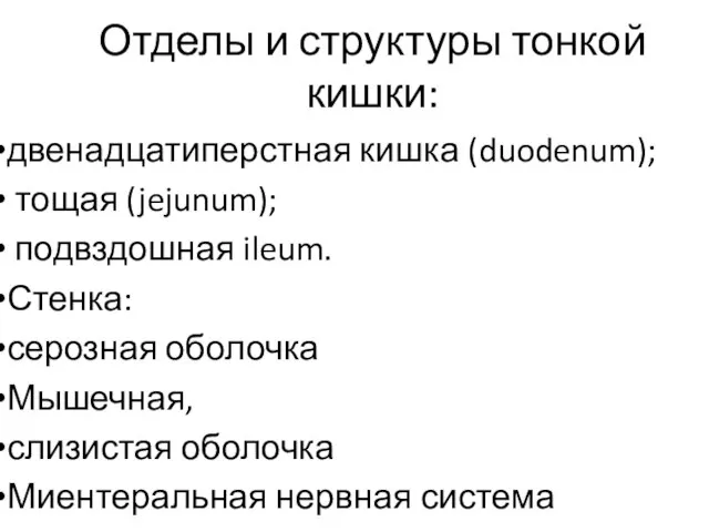 Отделы и структуры тонкой кишки: двенадцатиперстная кишка (duodenum); тощая (jejunum); подвздошная ileum.