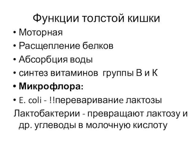 Функции толстой кишки Моторная Расщепление белков Абсорбция воды синтез витаминов группы В