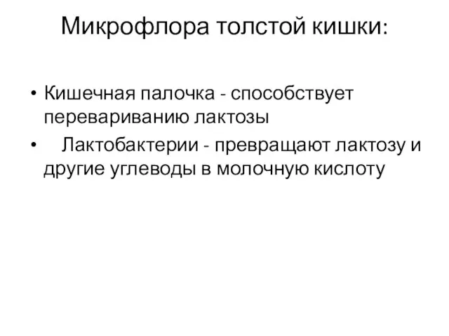 Микрофлора толстой кишки: Кишечная палочка - способствует перевариванию лактозы Лактобактерии - превращают