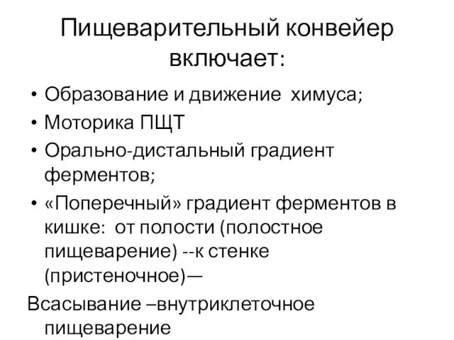 Пищеварительный конвейер включает: Образование и движение химуса; Моторика ПЩТ Орально-дистальный градиент ферментов;