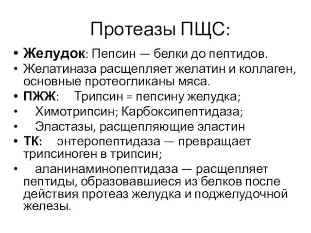 Протеазы ПЩС: Желудок: Пепсин — белки до пептидов. Желатиназа расщепляет желатин и