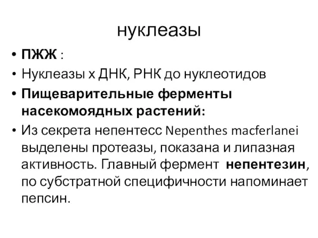 нуклеазы ПЖЖ : Нуклеазы х ДНК, РНК до нуклеотидов Пищеварительные ферменты насекомоядных