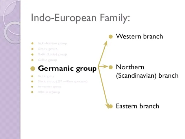 Indo-European Family: Indo-Iranian group Greek group Italic (Latin) group Celtic group Germanic