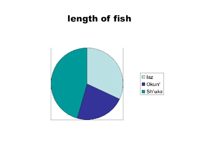 length of fish