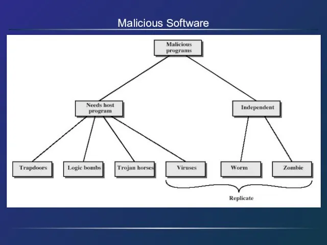 Malicious Software