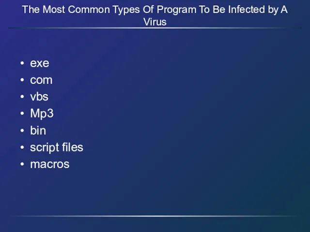 The Most Common Types Of Program To Be Infected by A Virus