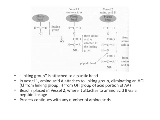 “linking group” is attached to a plastic bead In vessel 1, amino