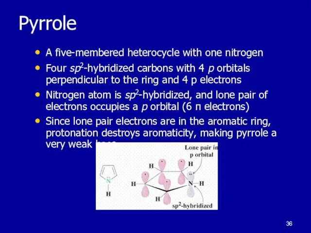 Pyrrole A five-membered heterocycle with one nitrogen Four sp2-hybridized carbons with 4