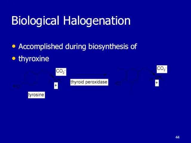 Biological Halogenation Accomplished during biosynthesis of thyroxine