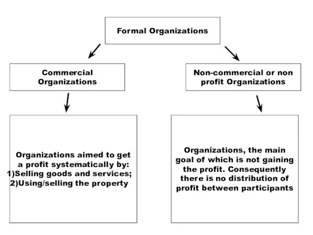 Formal Organizations Commercial Organizations Non-commercial or non profit Organizations Organizations aimed to