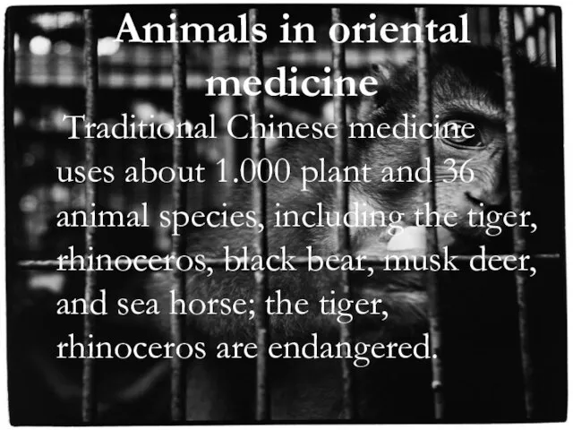 Animals in oriental medicine Traditional Chinese medicine uses about 1.000 plant and