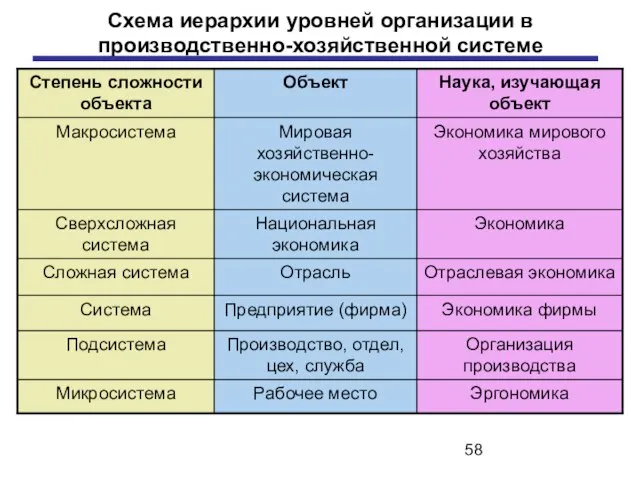 Схема иерархии уровней организации в производственно-хозяйственной системе