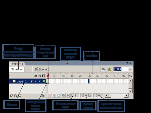 Шкала времени Линейка Кадры Головка воспроизведения Номер текущего кадра Частота кадров Время