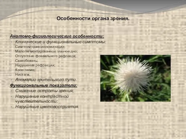 Особенности органа зрения. Анатомо-физиологические особенности: Клинические и функциональные симптомы: Симптом трансиллюминации; Малопигментированное