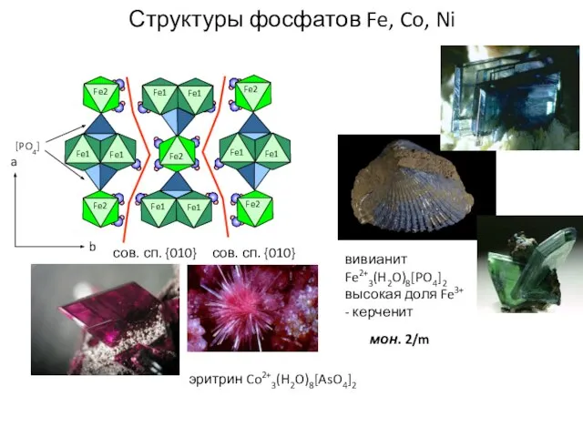 Структуры фосфатов Fe, Co, Ni a b сов. сп. {010} сов. сп.