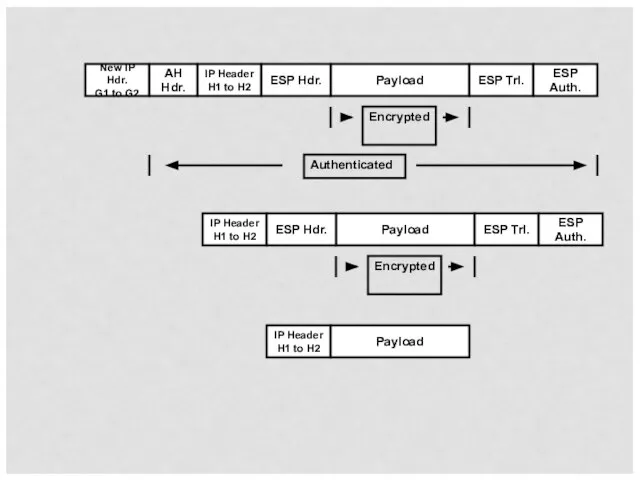 New IP Hdr. G1 to G2 IP Header H1 to H2 Payload