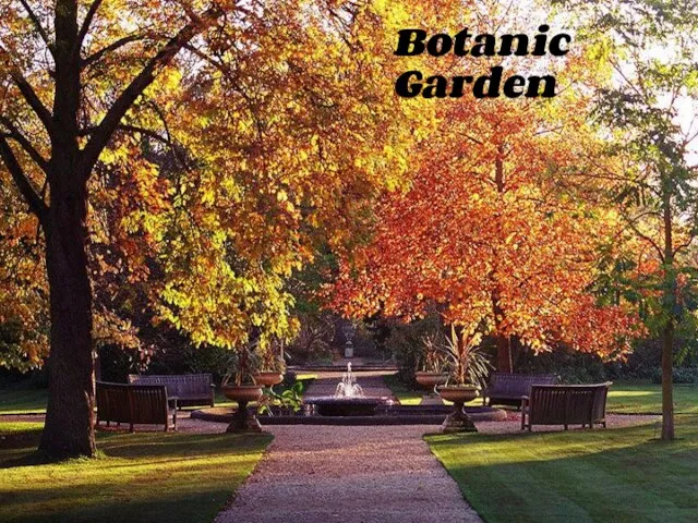 Botanic Garden