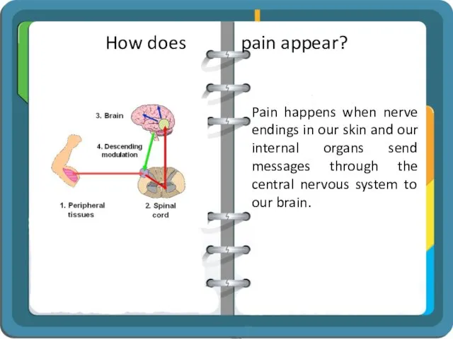 How does pain appear? Pain happens when nerve endings in our skin